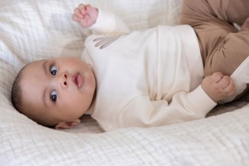 Sfeer s2618 51602732 52202543 1