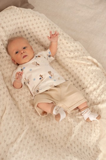 Sfeer s2618 51700987 52100463 50400363 1