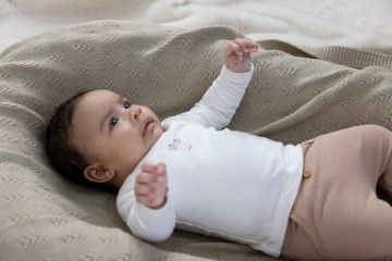 Sfeer w2410 51602362 52202194