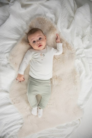 Sfeer w2410 51602362 52202196