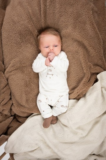 Sfeer w2412 51602348 52202186 50400291 1 0