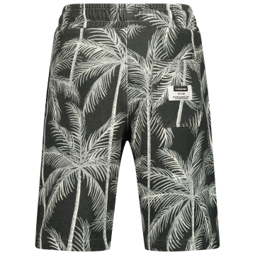 Ss24kbn46014rascogreyish blueback