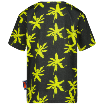 Ss25kbn30017halmifresh limeback