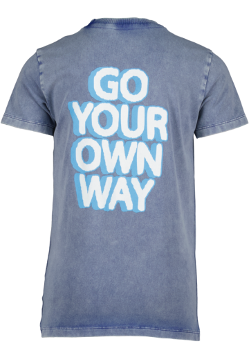 Thomas clematis blue back