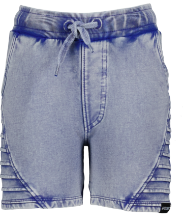 Tommy clematis blue front 1