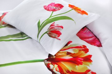 Tulips white   zoom view 2